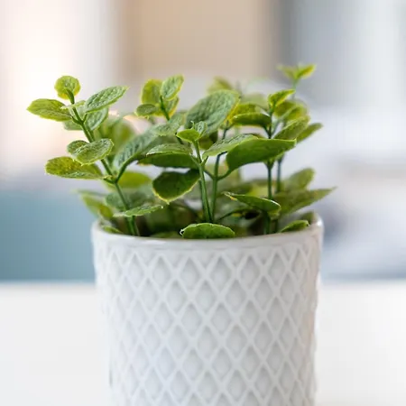 Apartamento Bege Workconnect Viersen