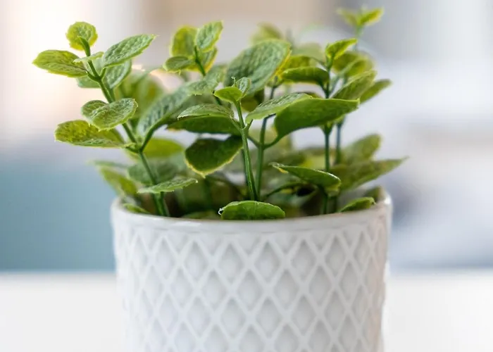 Lejlighed Bege Workconnect Viersen